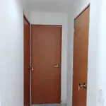 Depa Patria Y Vallarta