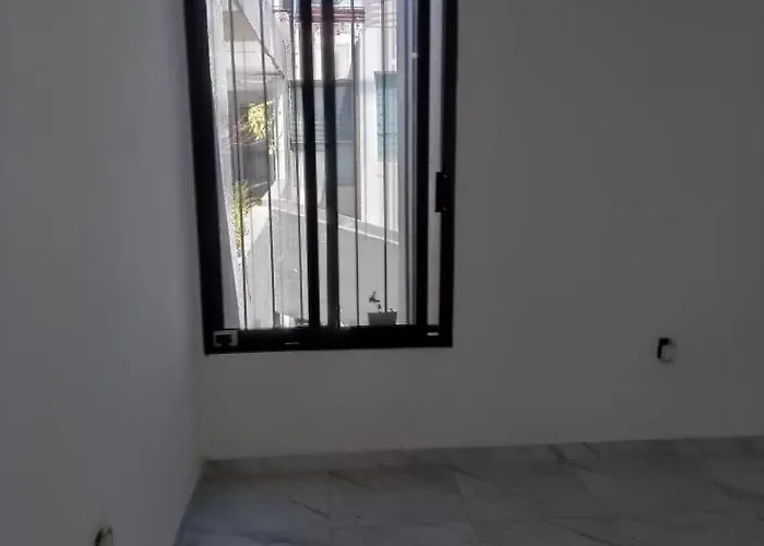 Depa Patria Y Vallarta