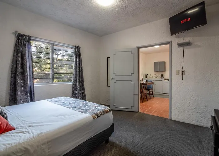 Centrico Estudio En Chapalita Tu Refugio Ideal 15