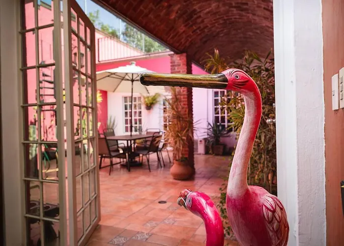 Casa Flamingos En El Centro De Tlaquepaque
