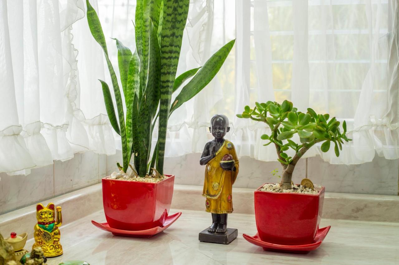 Homestay Casa Kinich Guadalajara
