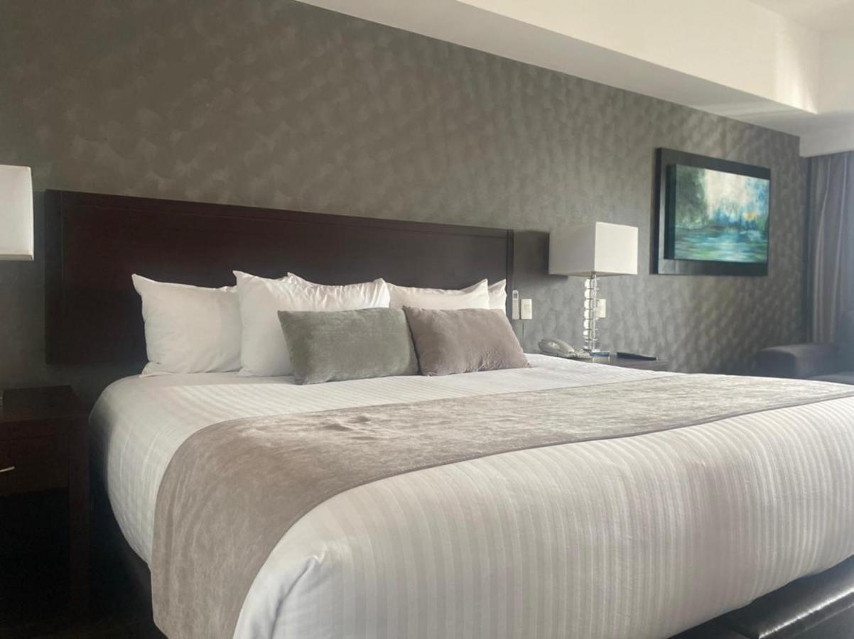 Ejecutivo Express Hotel