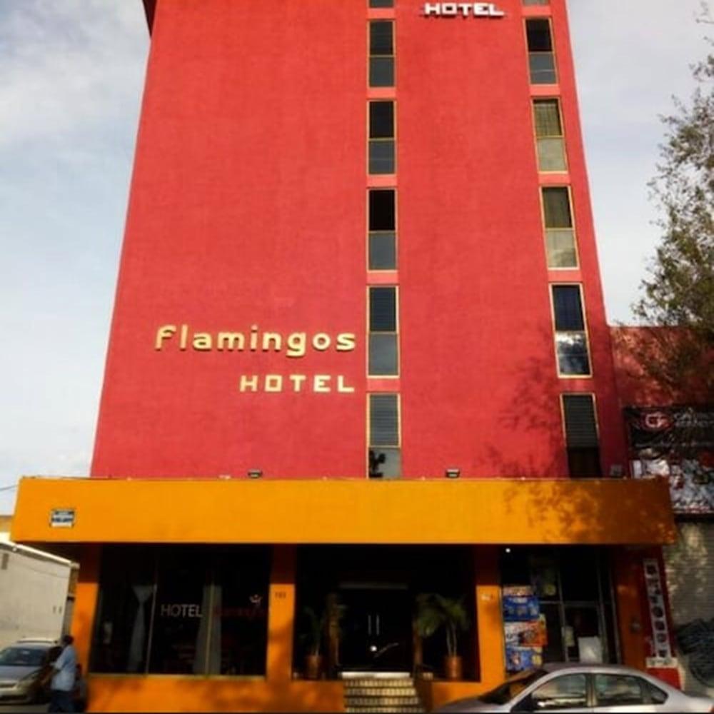 Flamingos 3* Guadalajara