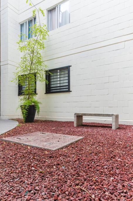 Departamento Privado Centro Historico Guadalajara. Apartamento *