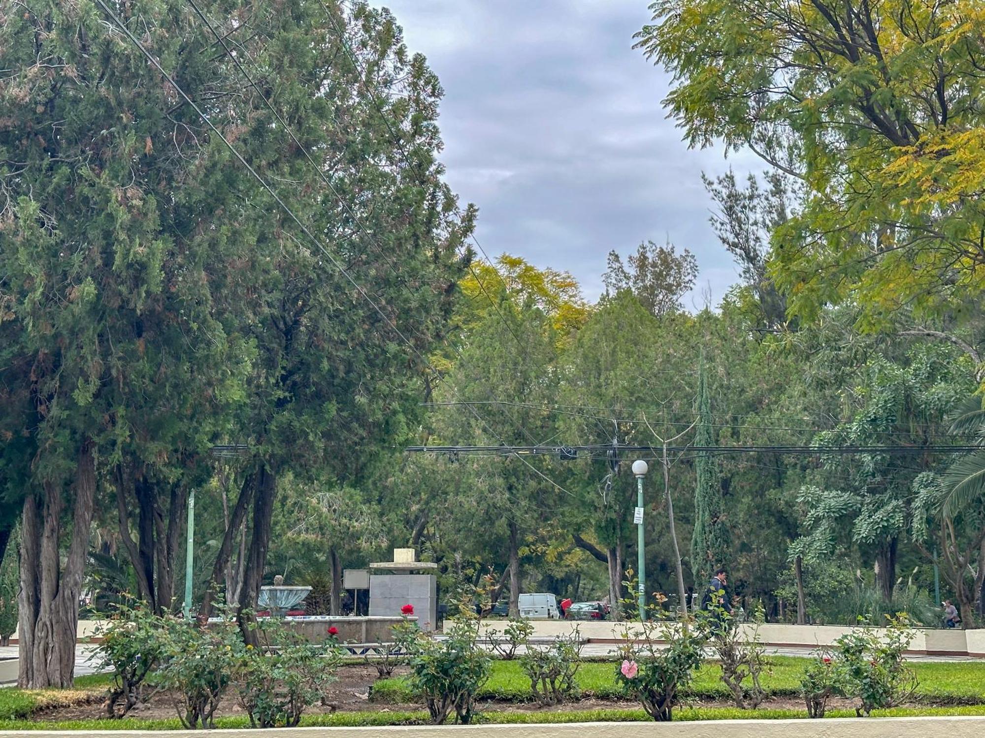 Estudio Roof Con Terraza En Chapalita *