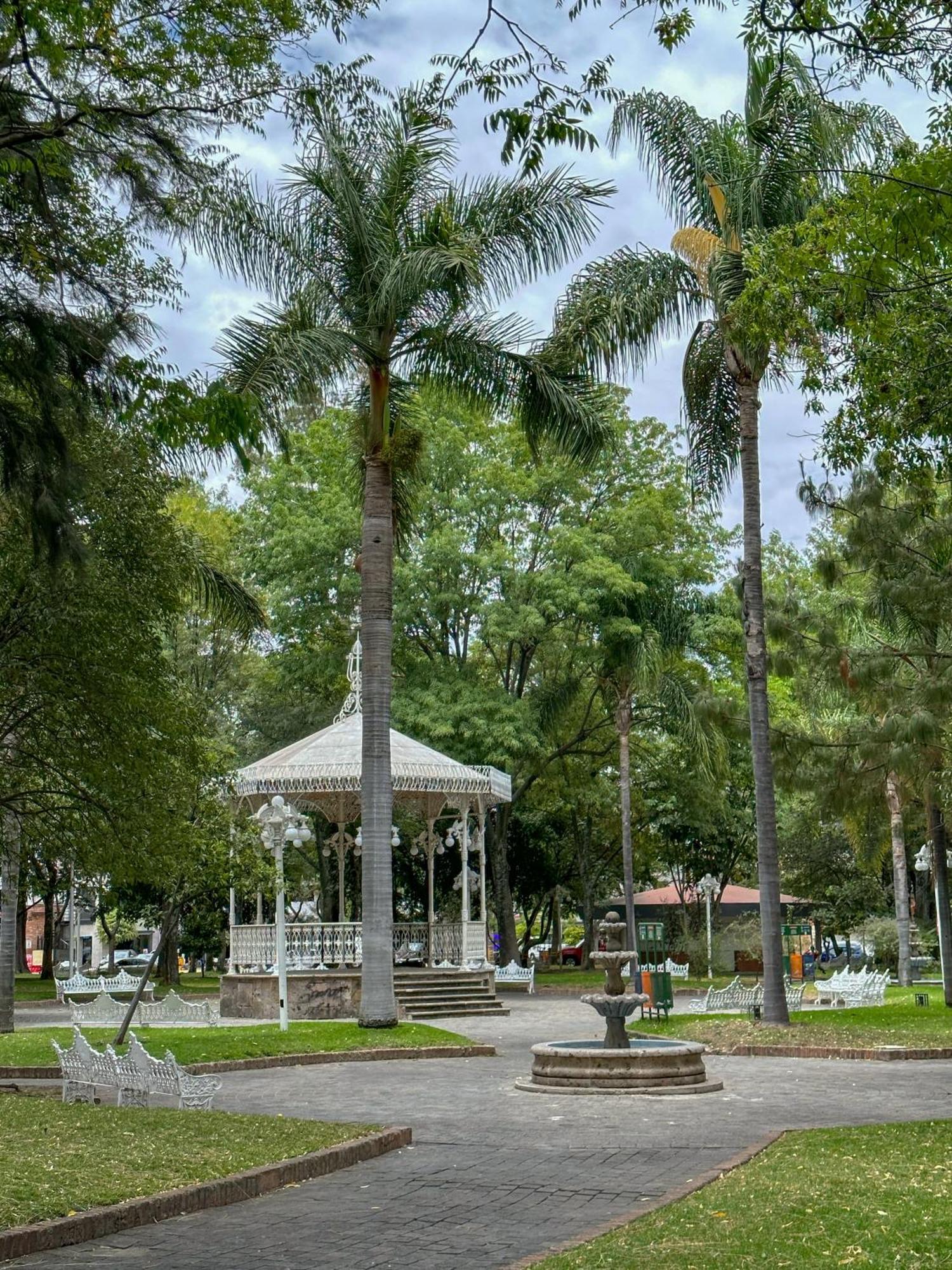 Estudio Roof Con Terraza En Chapalita * Guadalajara