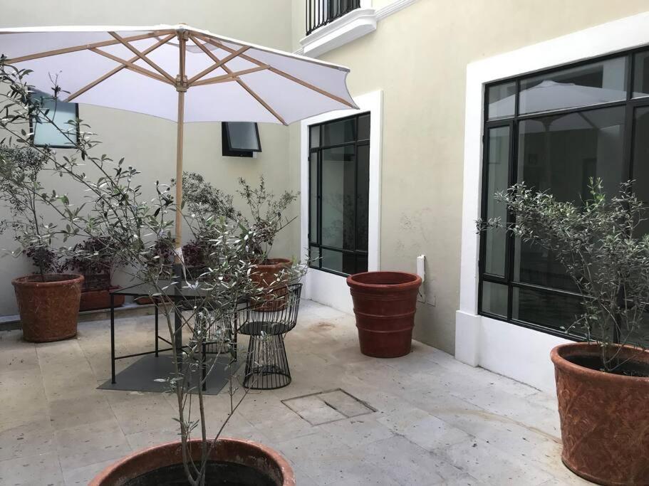 Casa Monarcas - Josefina