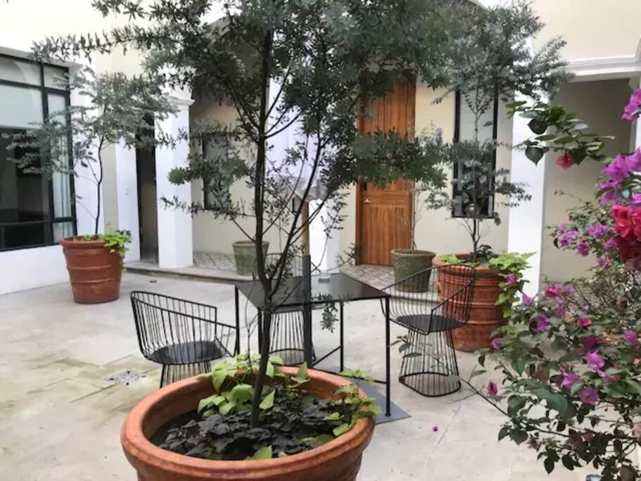 Casa Monarcas - Isabella Guadalajara