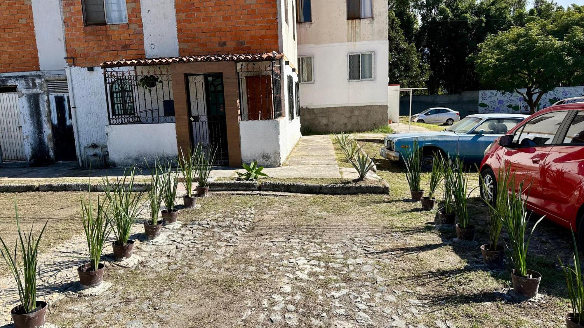 Apartamento Nido Del Tecolote