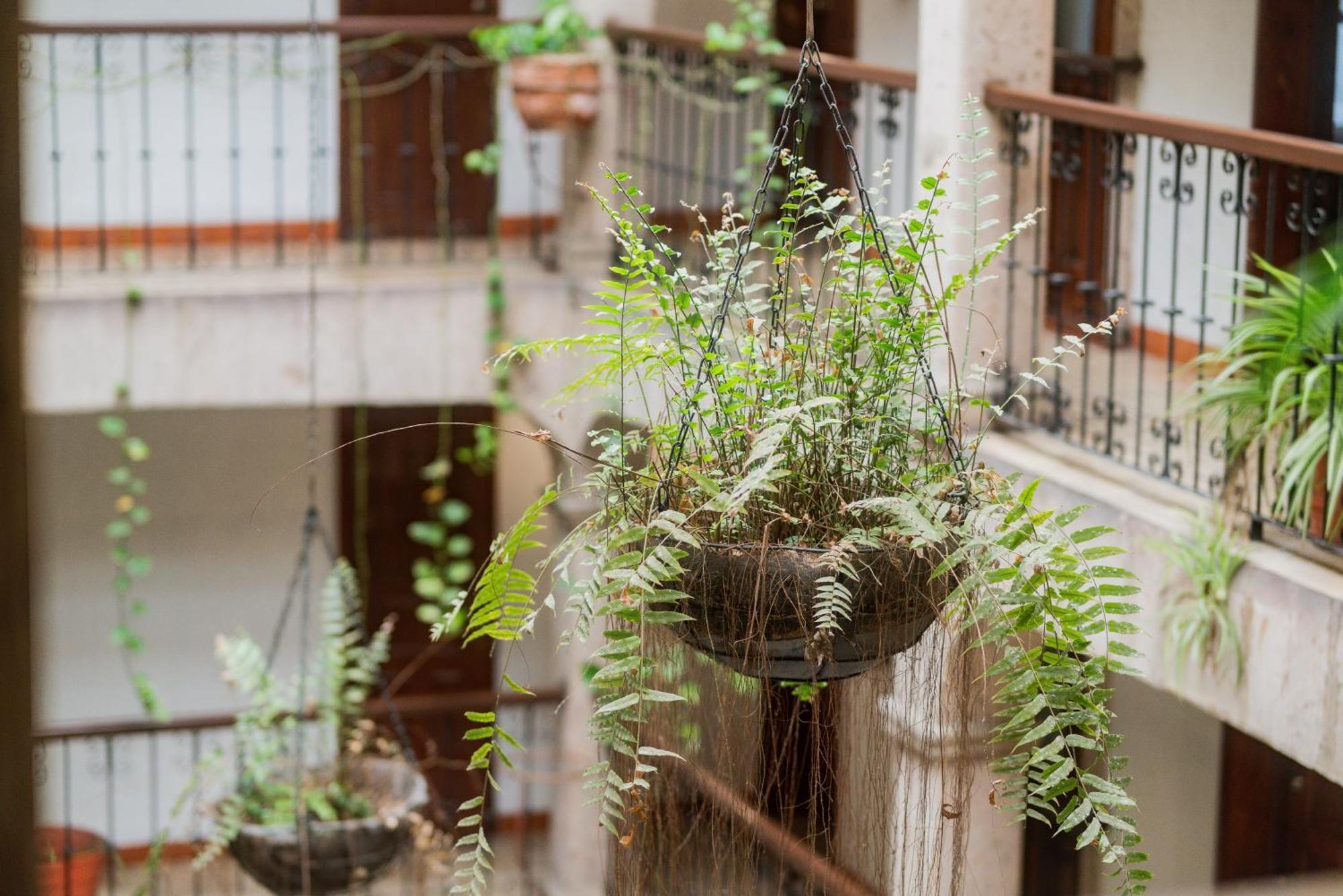 Don Quijote Plaza - Centro Historico 3*