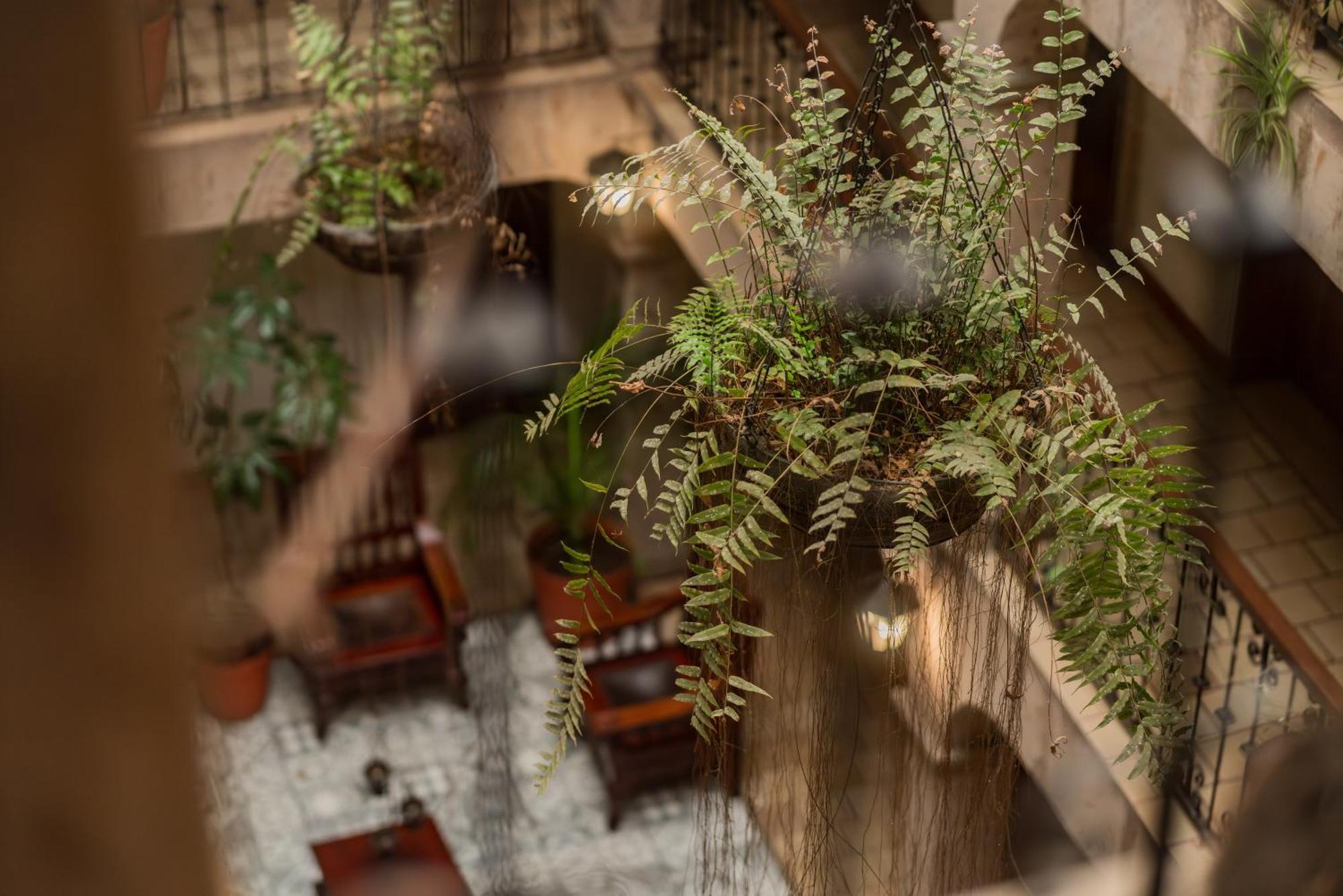 Don Quijote Plaza - Centro Historico Hotel 3*