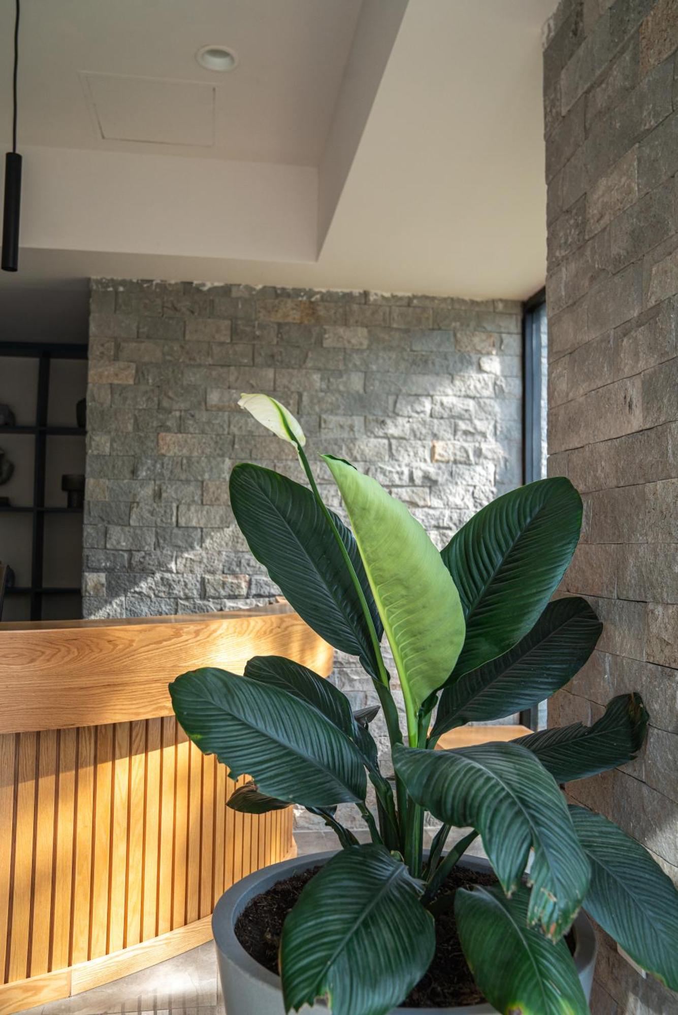 Financial District! Modern Getaway M03 Apartamento Guadalajara