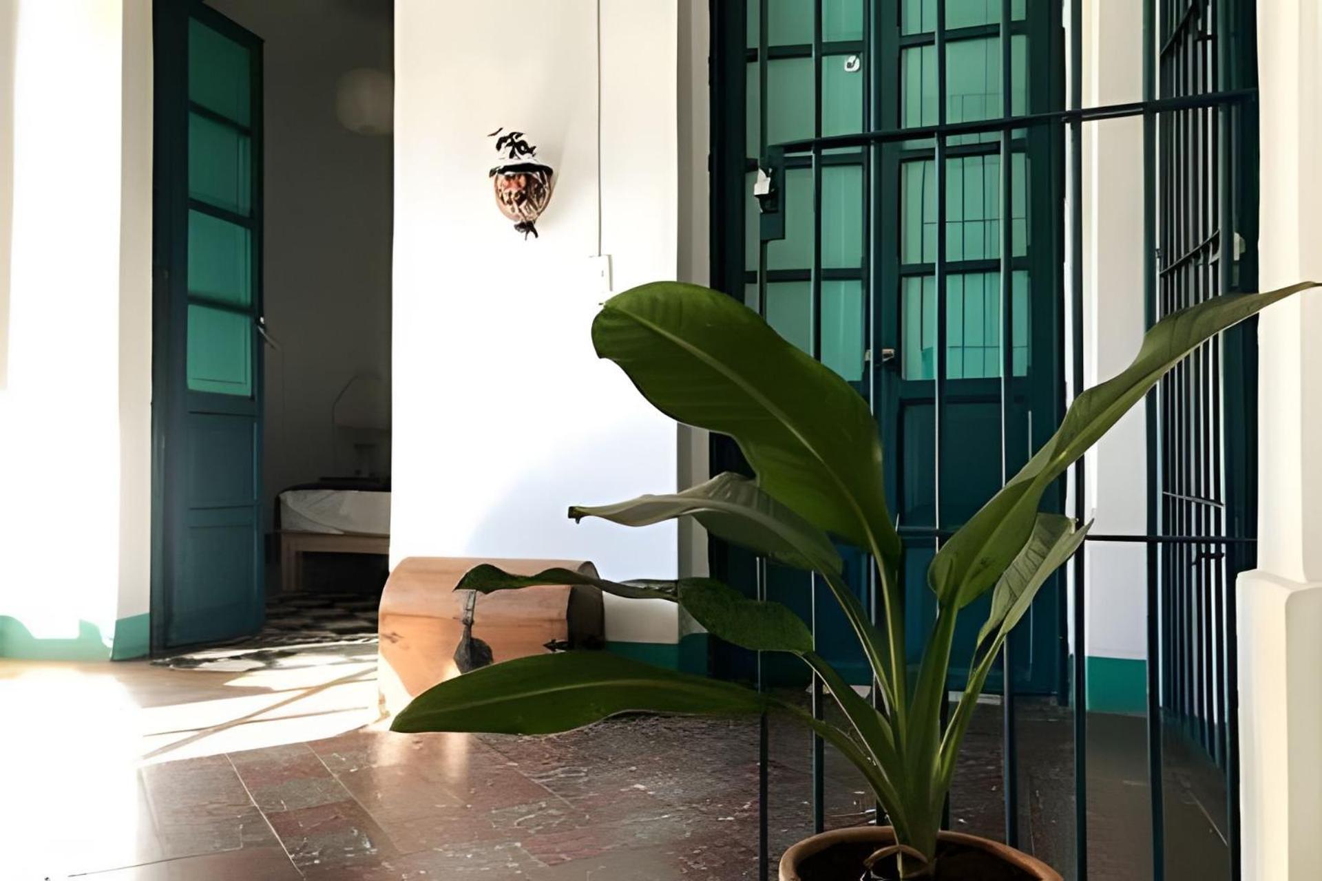 2 Corazon Del Centro Historico Hospedate En Casa Antigua En Privada Con Areas Comunes Y Banos Compartidas Сasa de vacaciones