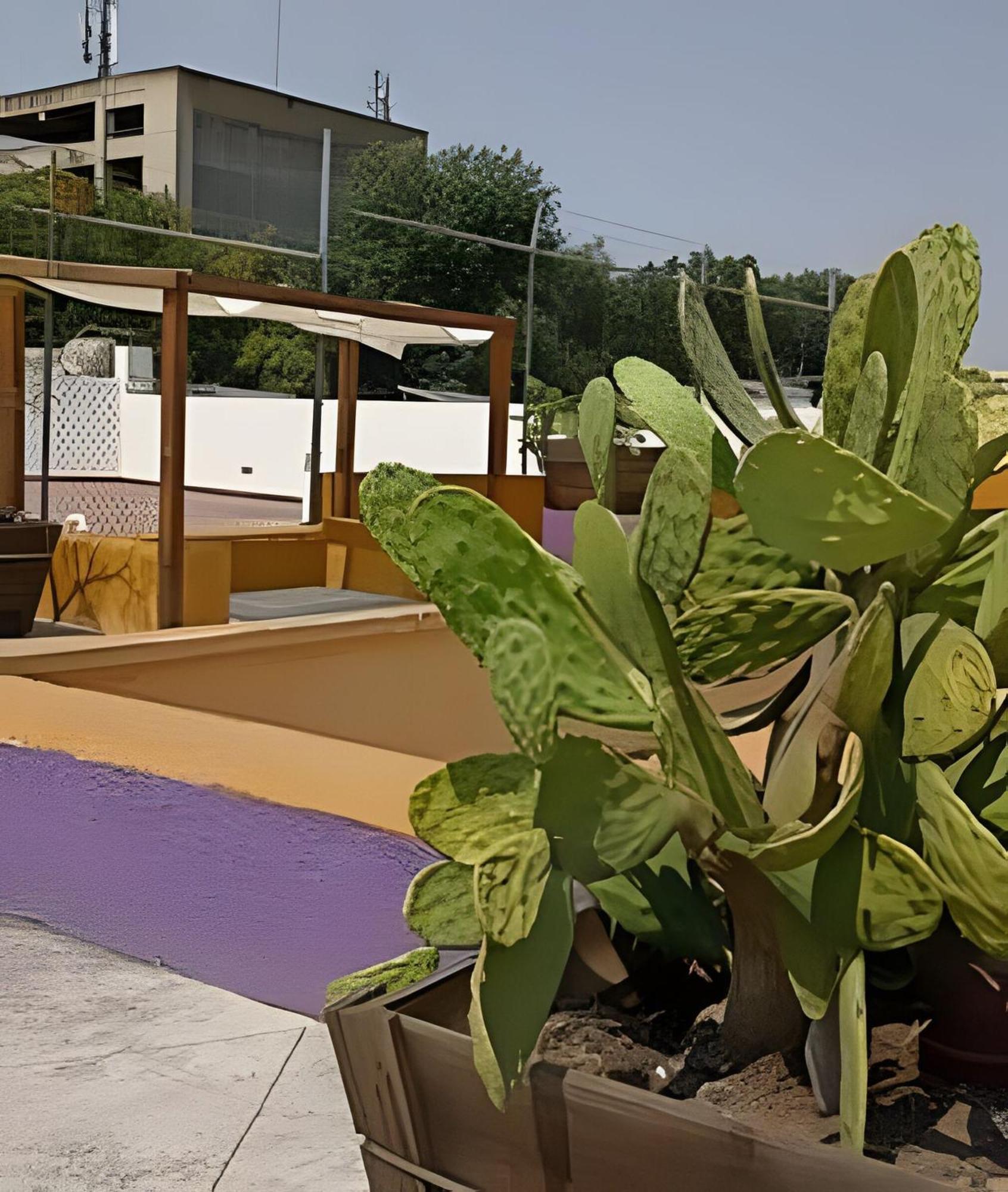 Сasa de vacaciones 2 Corazon Del Centro Historico Hospedate En Casa Antigua En Privada Con Areas Comunes Y Banos Compartidas
