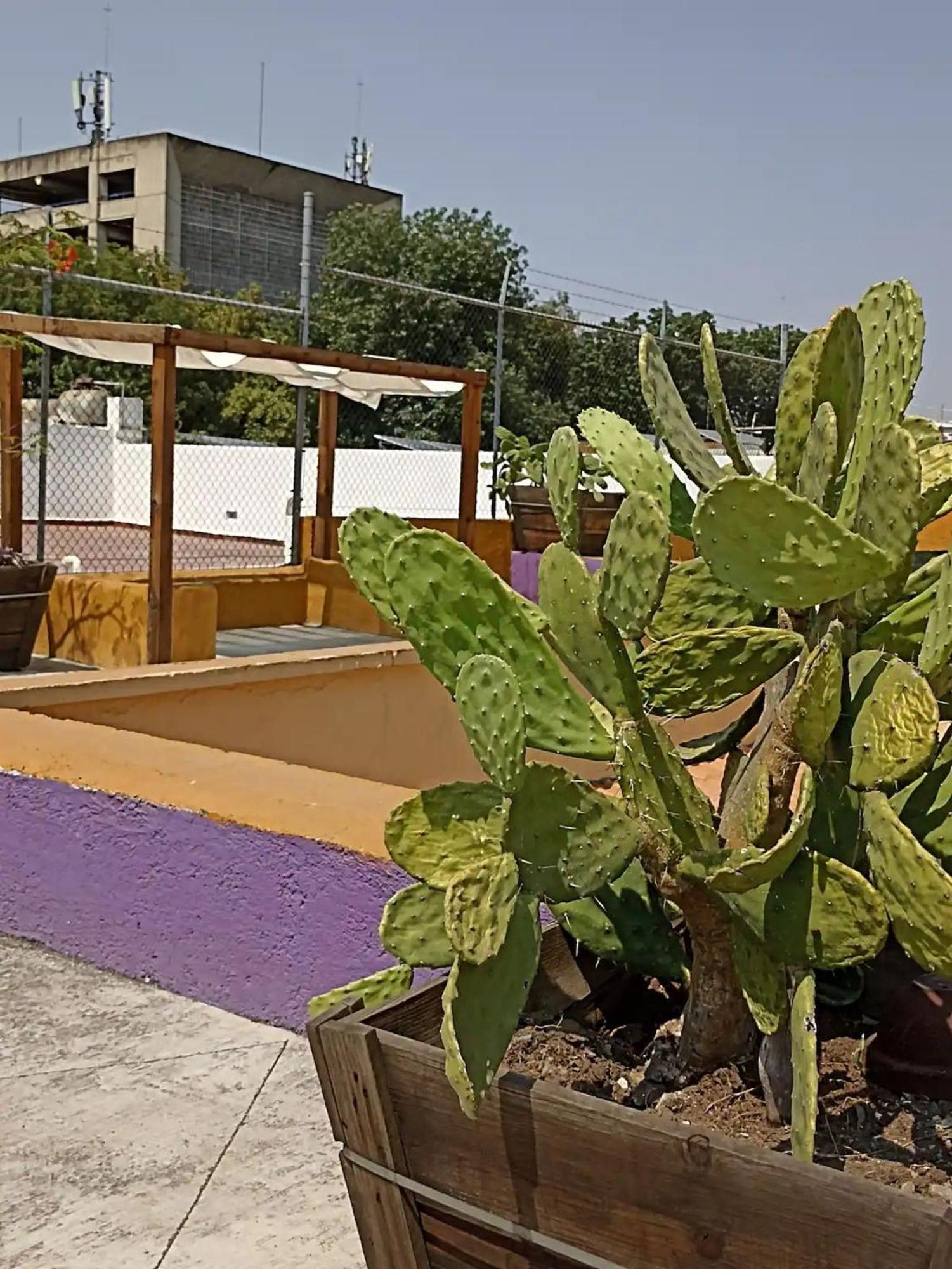 Сasa de vacaciones 1 Corazon Del Centro Historico Hospedate En Casa Antigua En Sencilla Con Areas Comunes Y Banos Compartidas