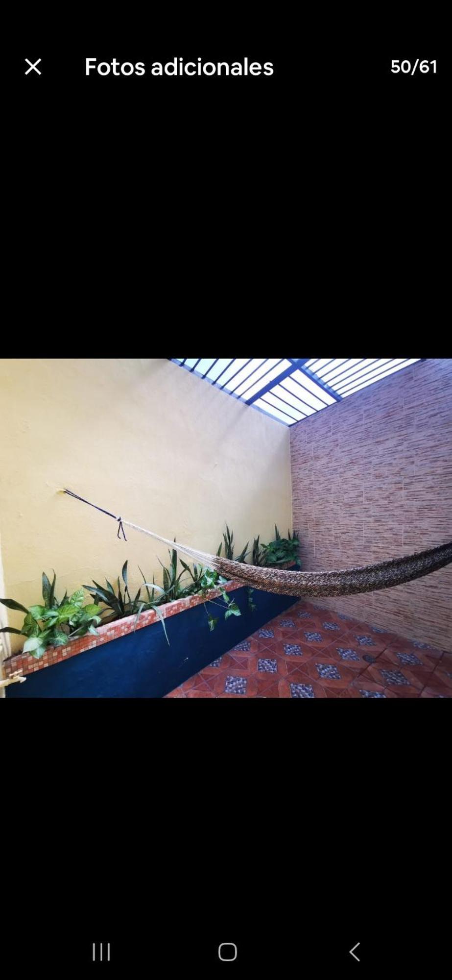 Entero Cerca De Zoogdl Casa Mi Rosita *