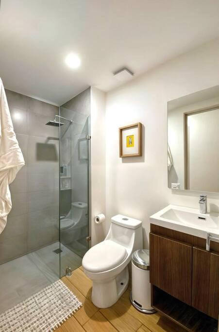 Apartamento Acogedor 2br, Fast Wifi, Elegante, Centrico