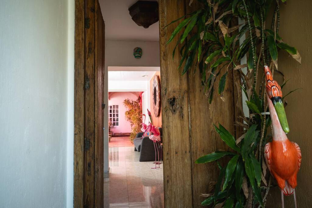 Casa Flamingos En El Centro De Tlaquepaque Сasa de vacaciones Guadalajara