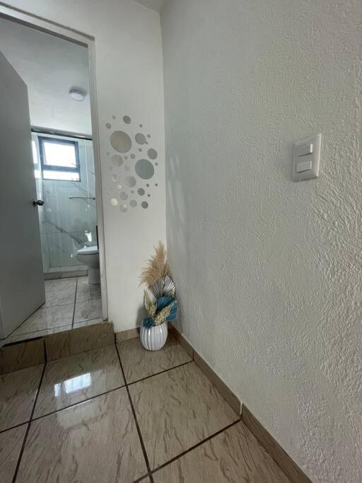 Super Ubicada Casa Al Sur Cerca Iteso Uvm Hp Colon Centro Sur Jose Cuervo Guadalajara