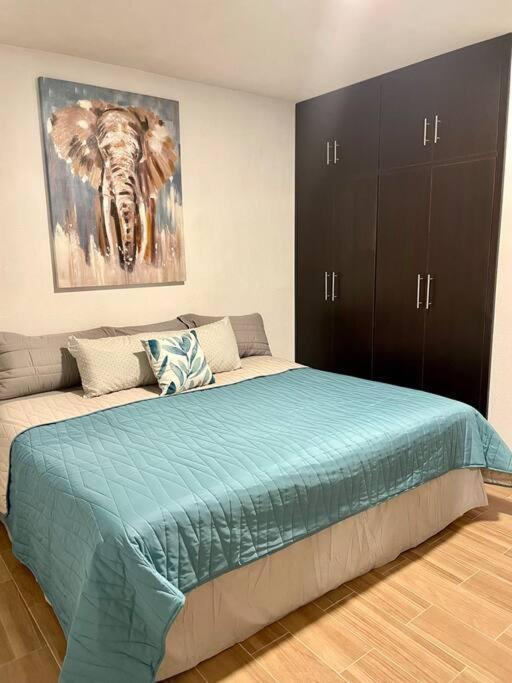 Apartamento Vico Rose *