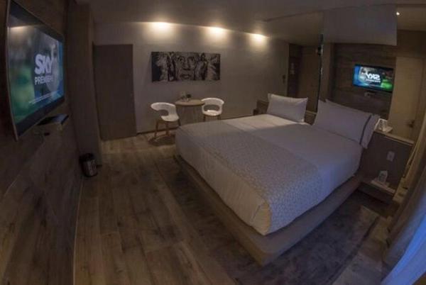 Picasso & 5* Guadalajara