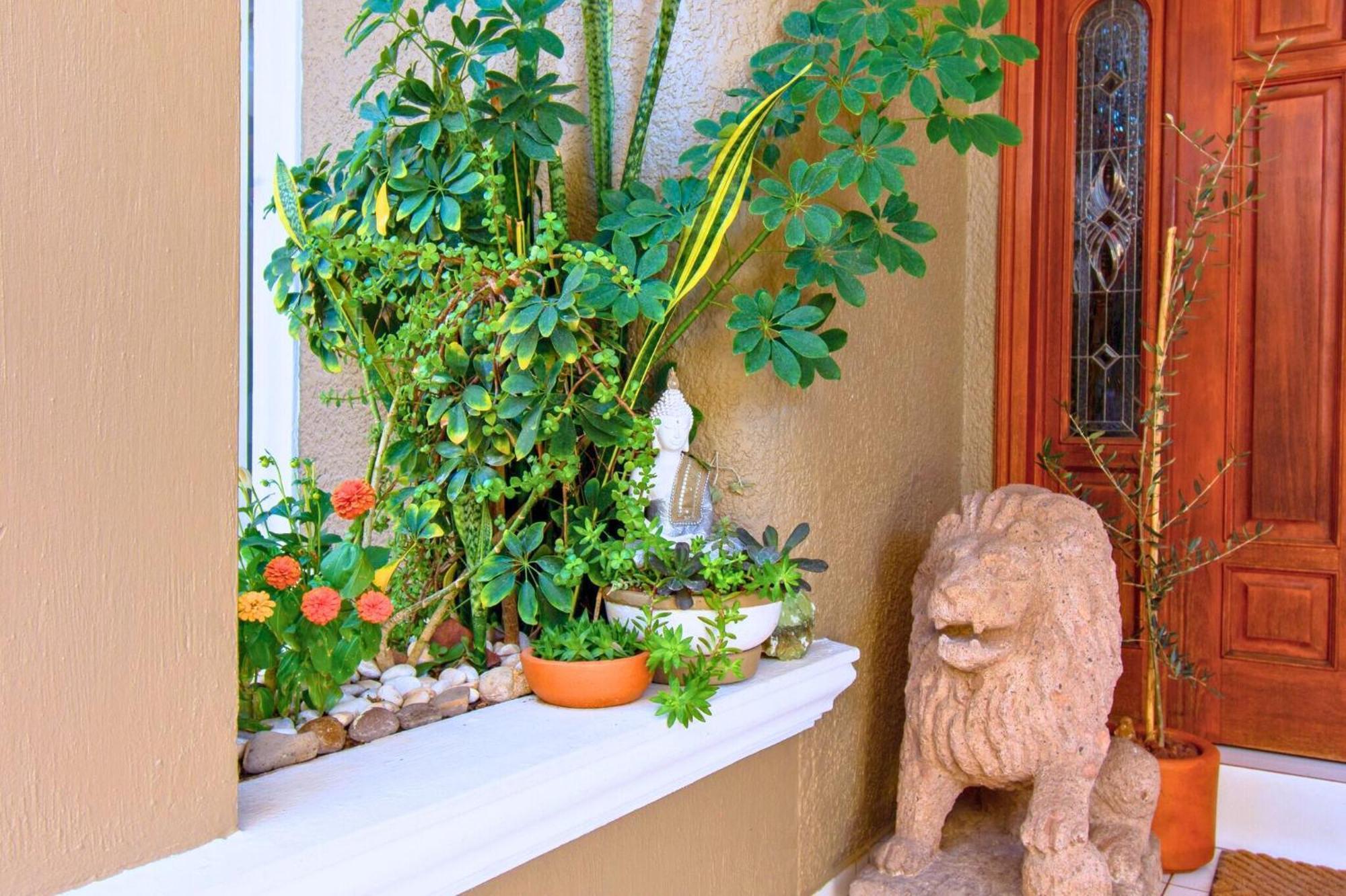 Homestay Casa Kinich Guadalajara