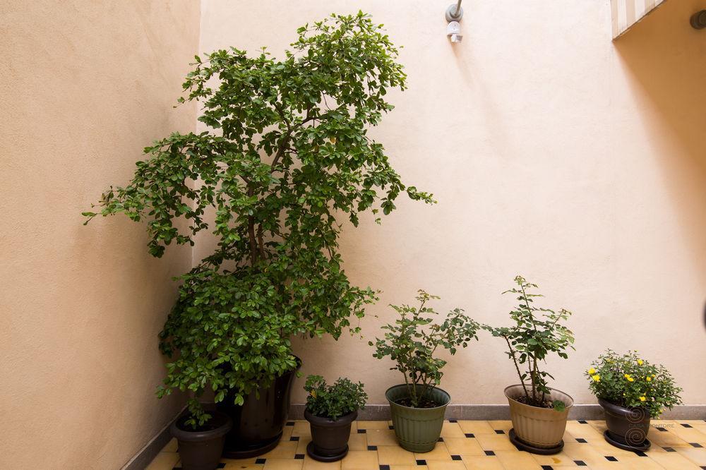 Casa Madonna La Providence 4*