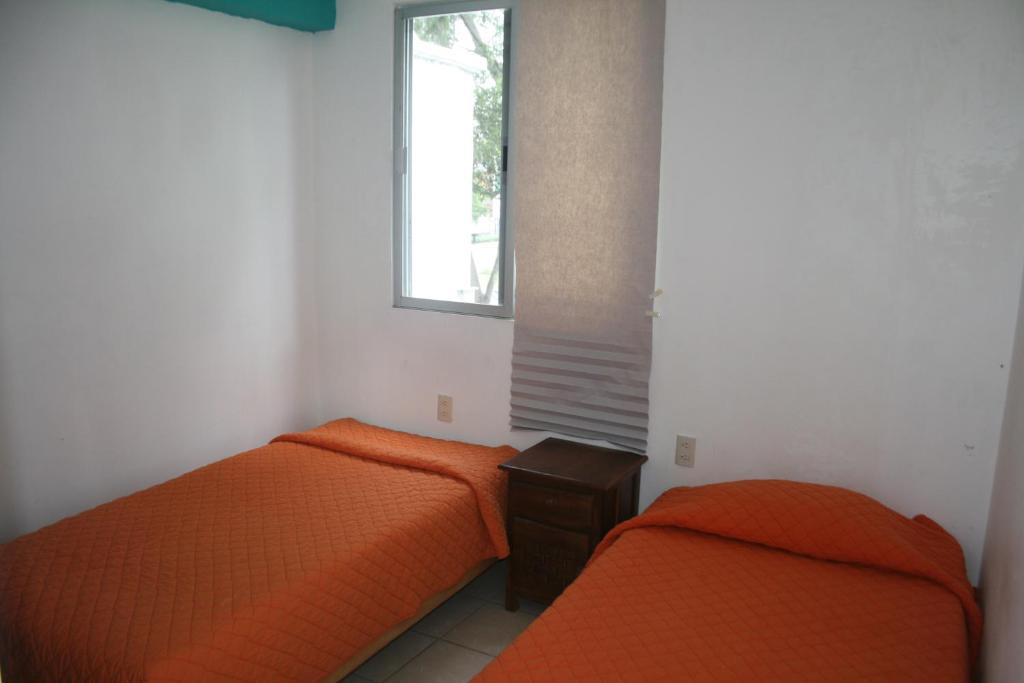 Lion Hostal *