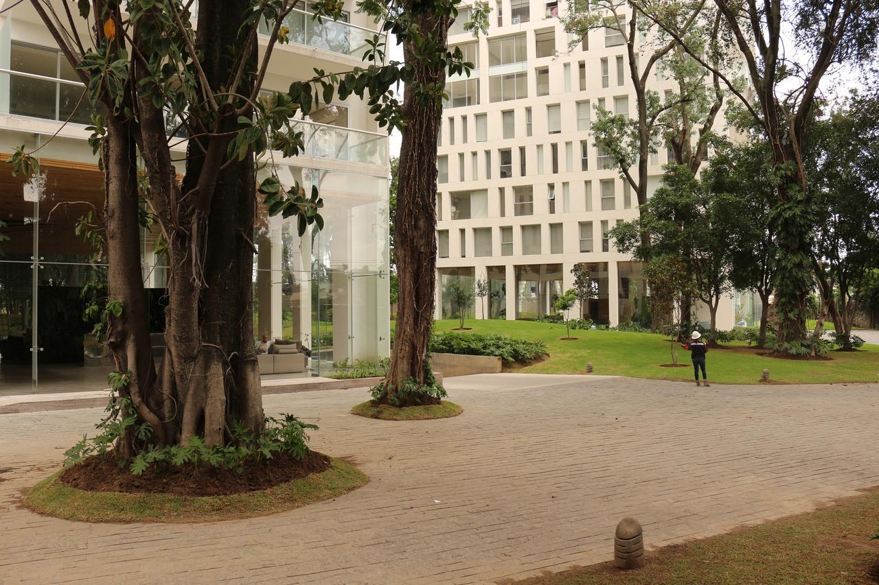 Central Park * Guadalajara