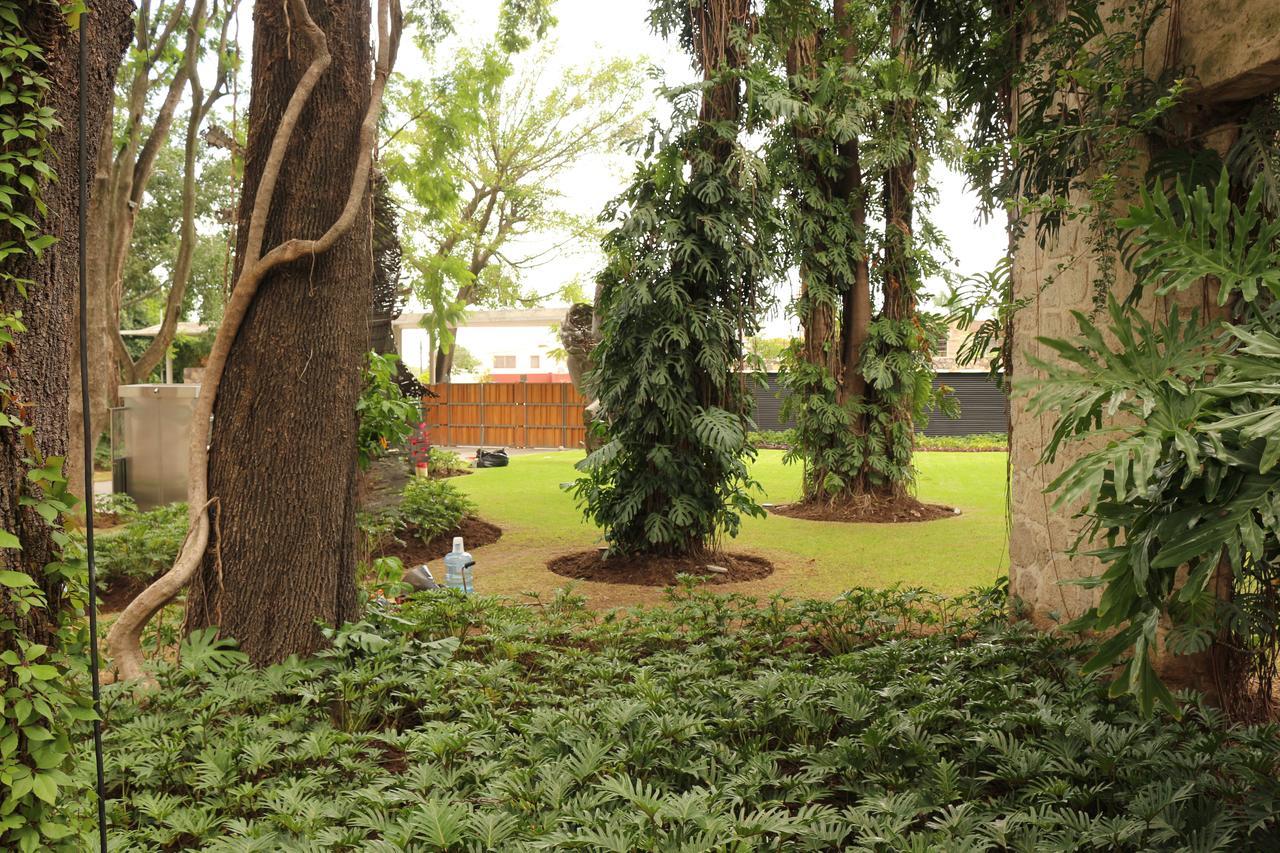 Central Park * Guadalajara
