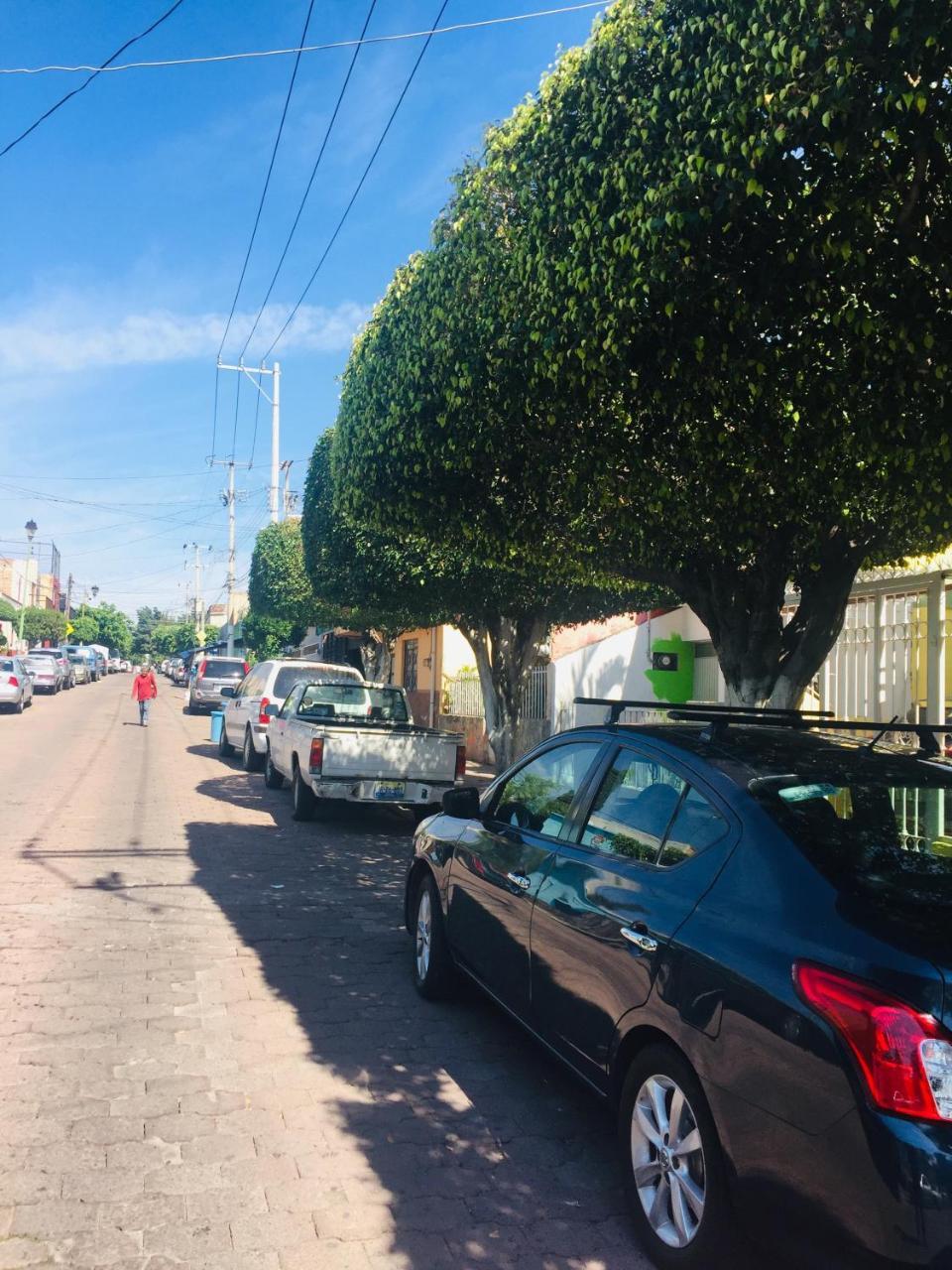 Apartamento En Zapopan
