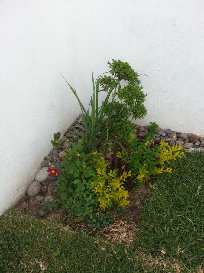 Apartamento Campo Real Oriente Guadalajara