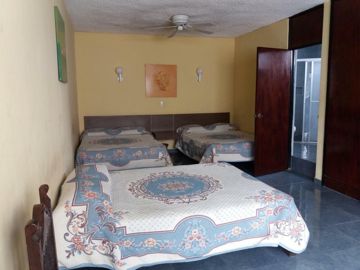 Junto Glorieta La Minerva Hotel
