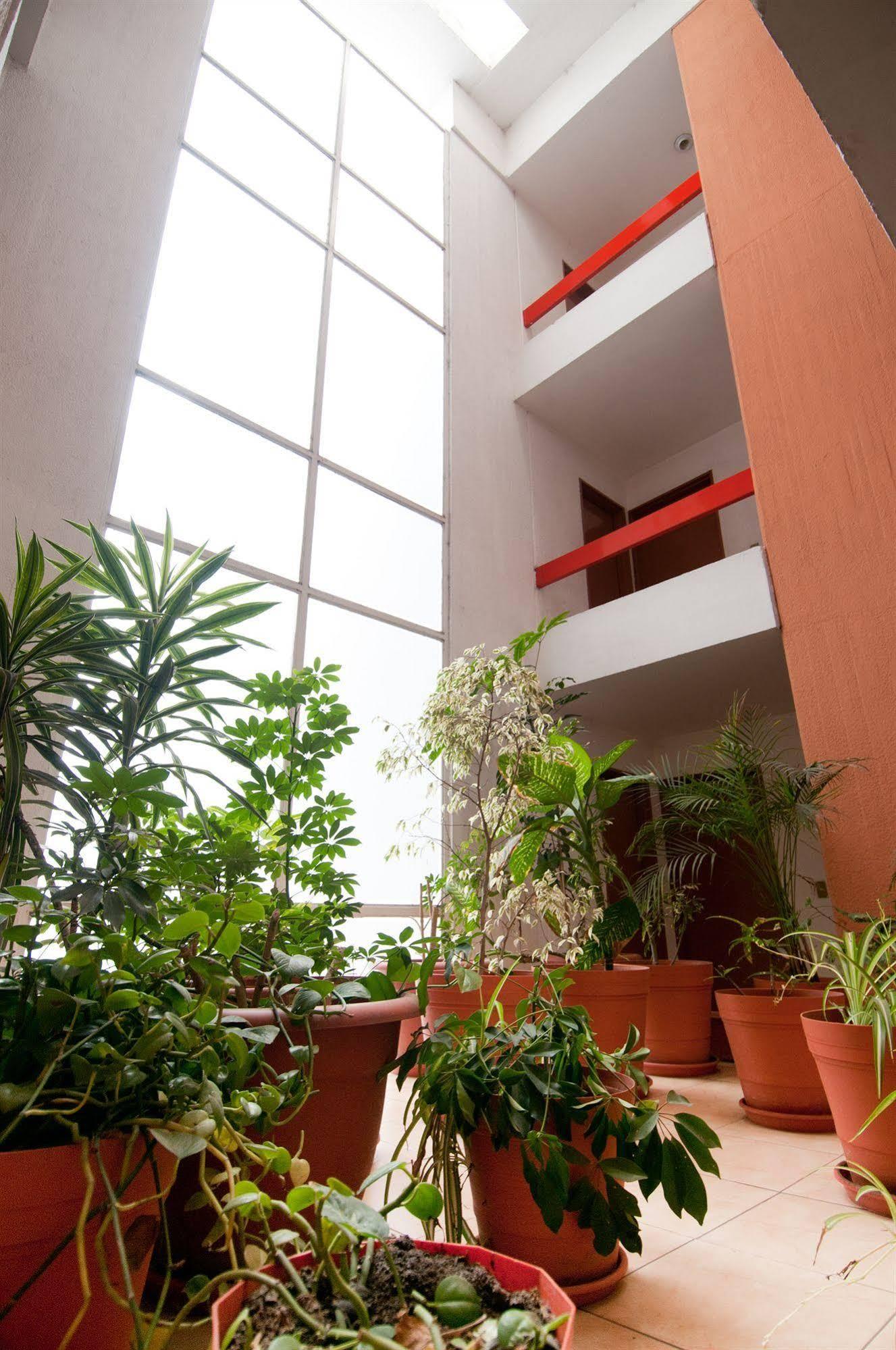 Aparthotel Futura