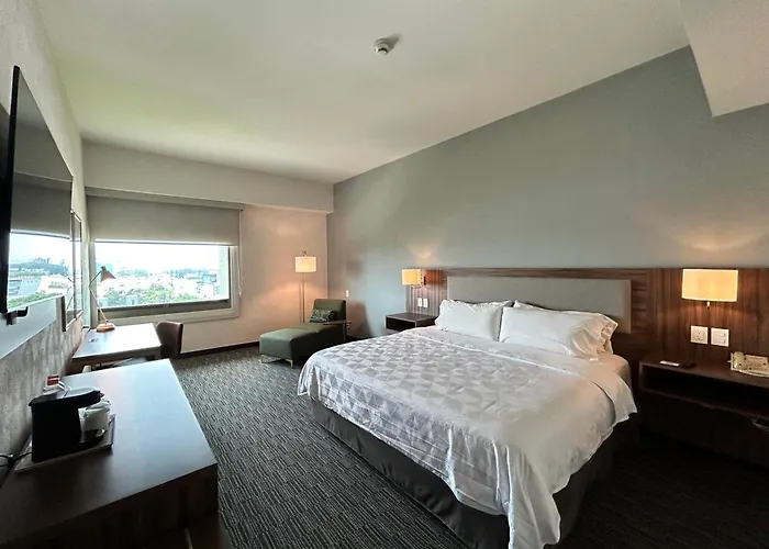 Holiday Inn Guadalajara Select