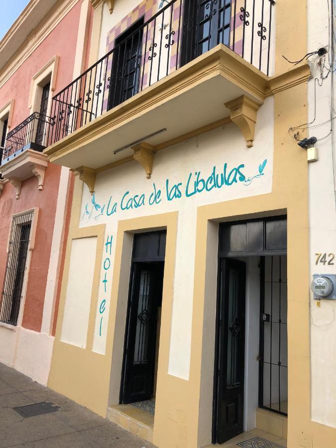 La Casa De Libélulas Guadalajara