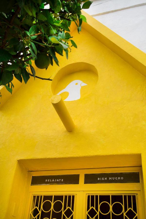 Casa Canario Guadalajara