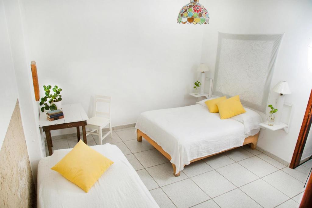 Casa Canario Guadalajara