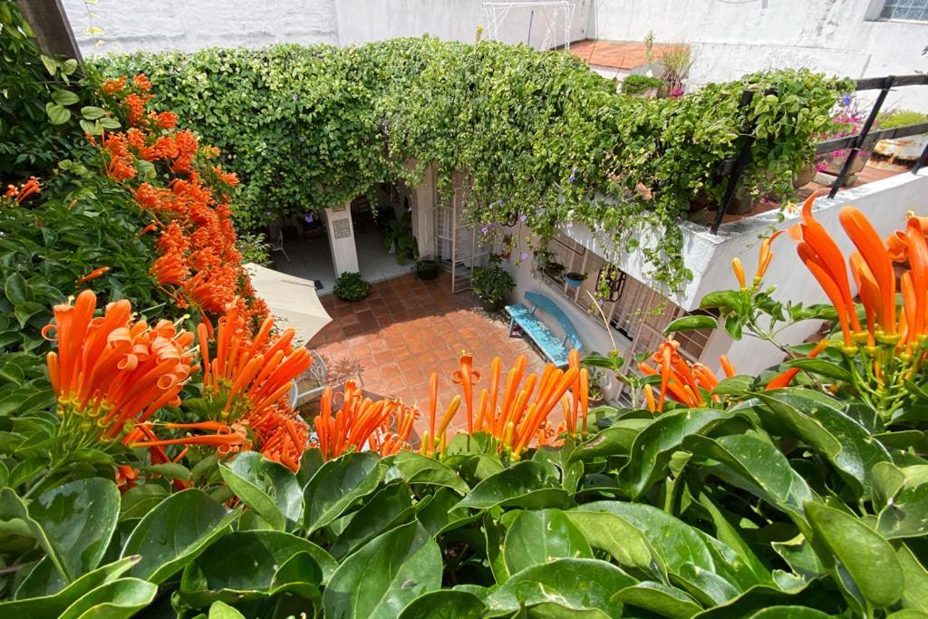 Hostal Casa Canario