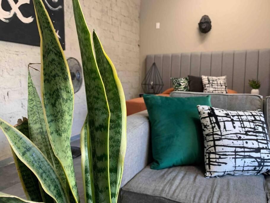 Сasa de vacaciones Begonias Loft ¡a 5 Min Del Auditorio Telmex! *