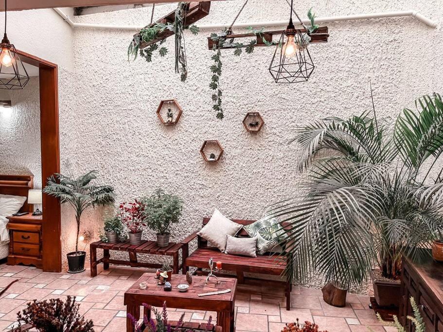 Apartamento Hermoso Loft Cerca De Chapultepec