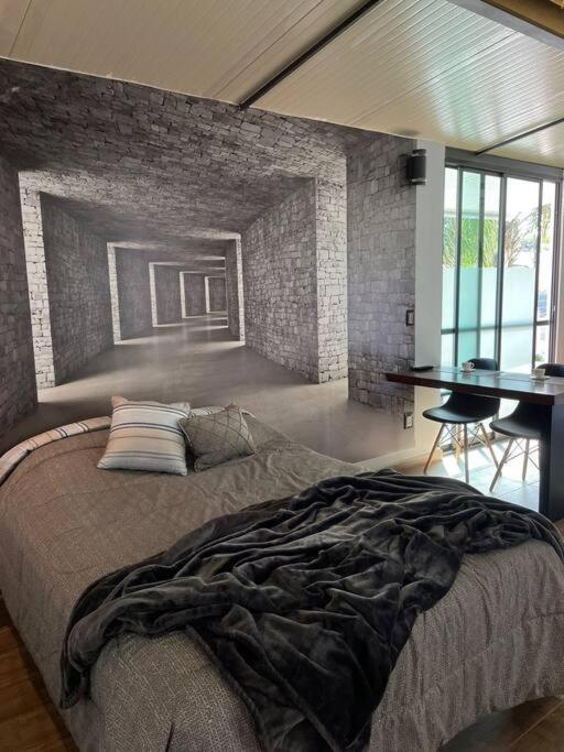 Studio C Minerva Zona Residencial 1er Piso