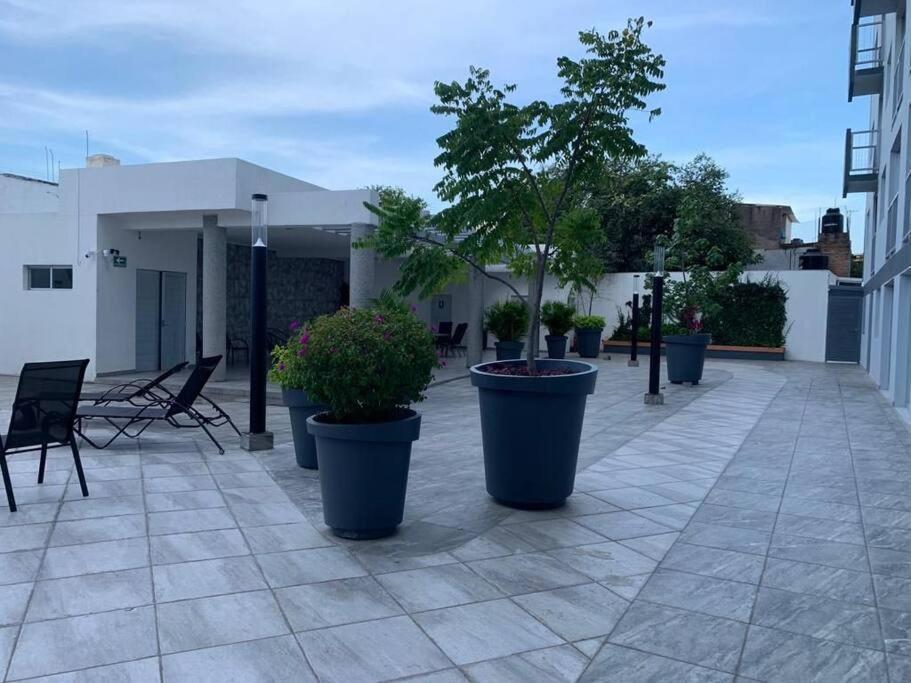Nuevo Y Amplio Departamento Con Alberca Y Seguridad En El Centro De * Guadalajara
