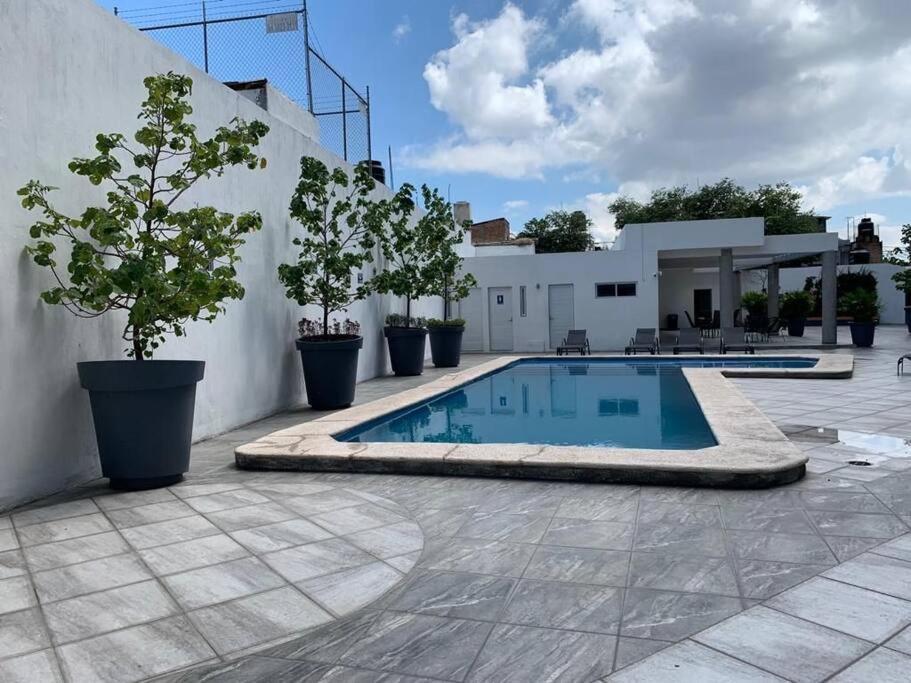 Apartamento Nuevo Y Amplio Departamento Con Alberca Y Seguridad En El Centro De *