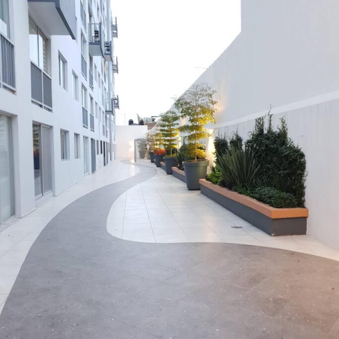 Apartamento Nuevo Y Amplio Departamento Con Alberca Y Seguridad En El Centro De