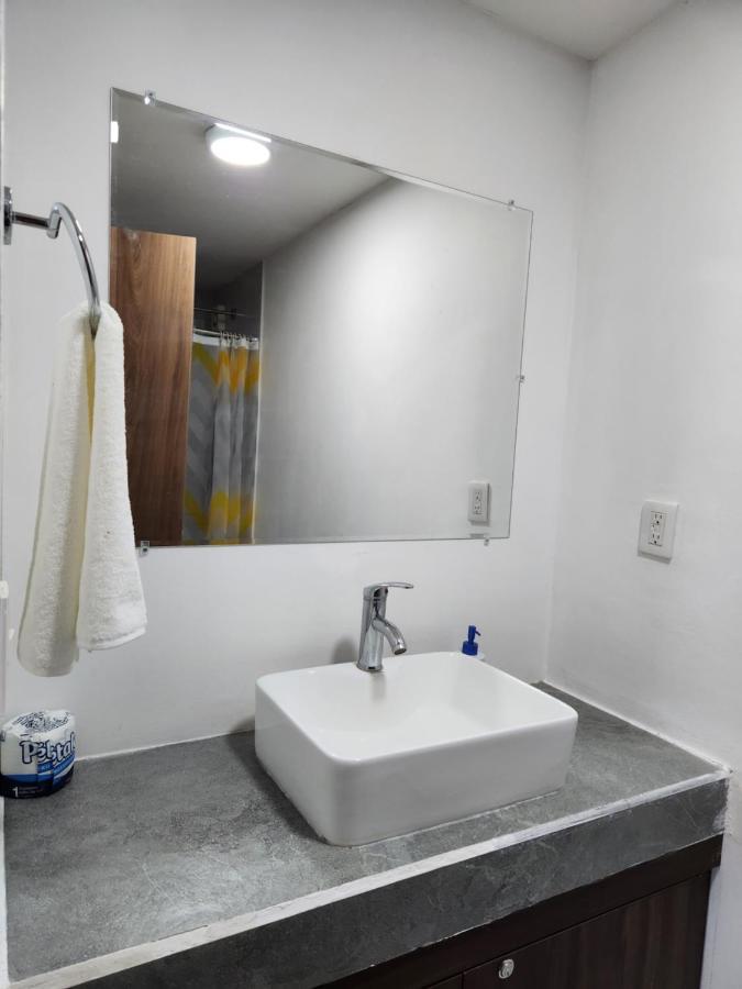 Apartamento Nuevo Y Amplio Departamento Con Alberca Y Seguridad En El Centro De