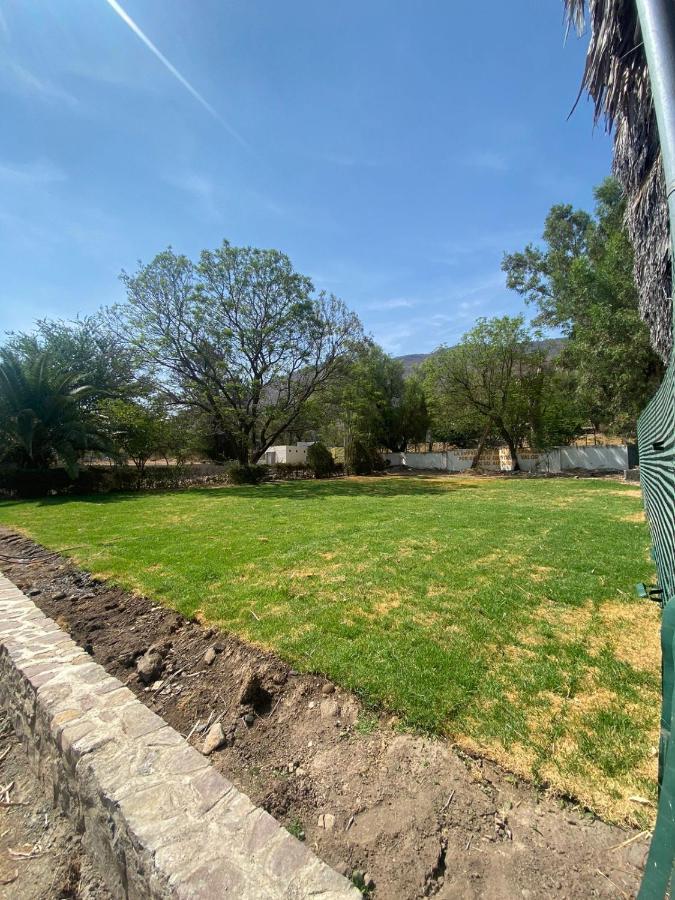 Seis Agaves Guadalajara