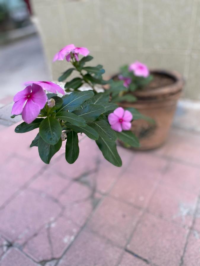 Casita * Guadalajara