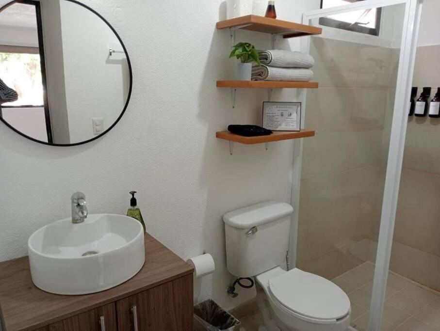 Apartment Tranquilo Y Moderno Dpto En Buena Zona De Gdl *