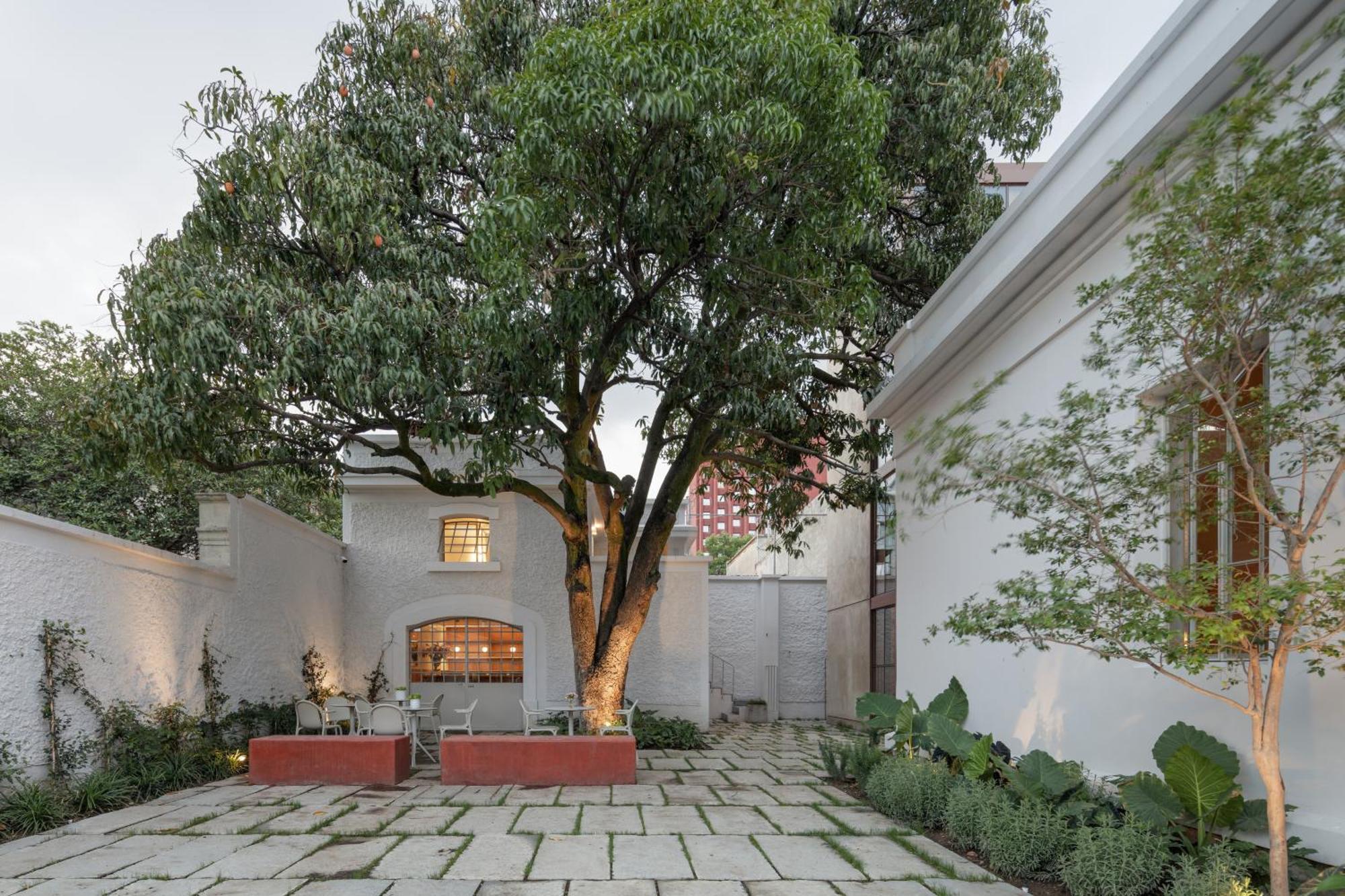 Casa Bosque Eduviges